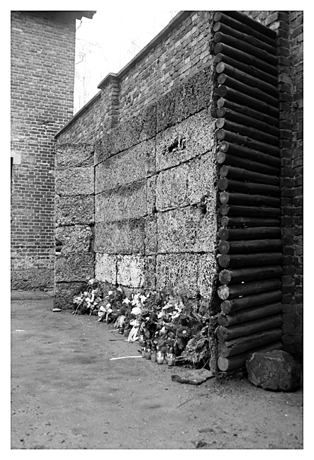 Auschwitz 6