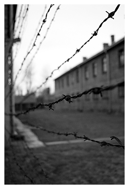 Auschwitz 7