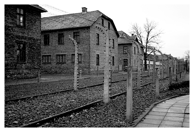 Auschwitz 9