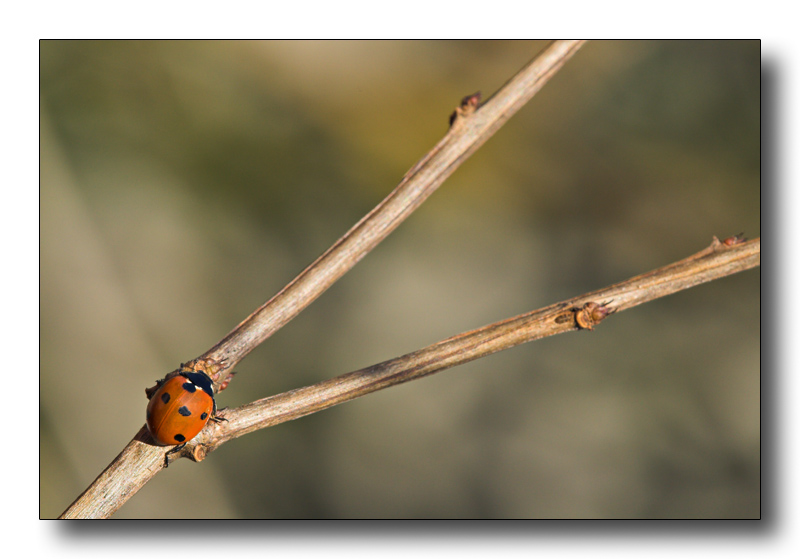 appuntamento all'incrocio