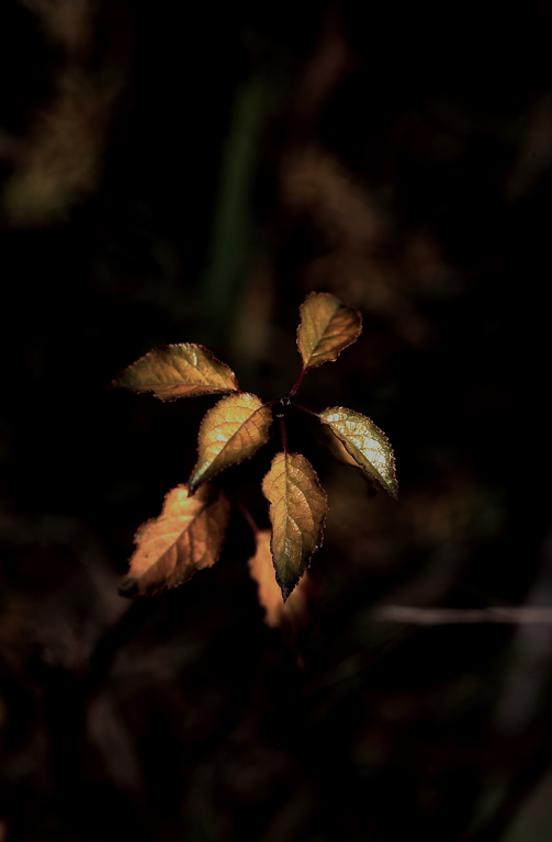 uno spiraglio di luce