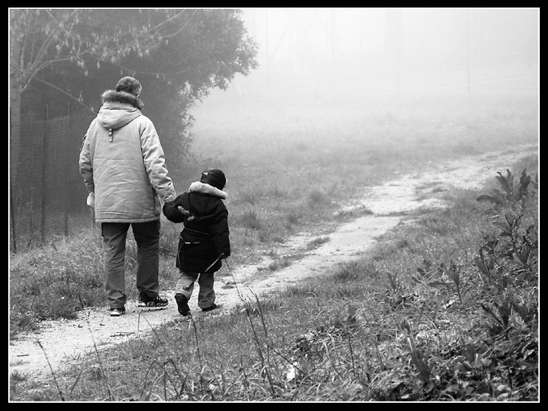 Il cammino della vita