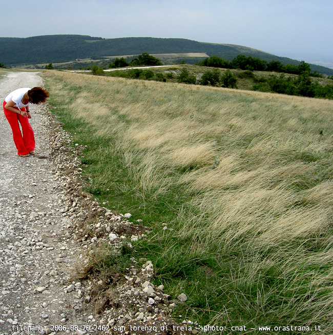 2006-08-20_2462 - san lorenzo di treia MC