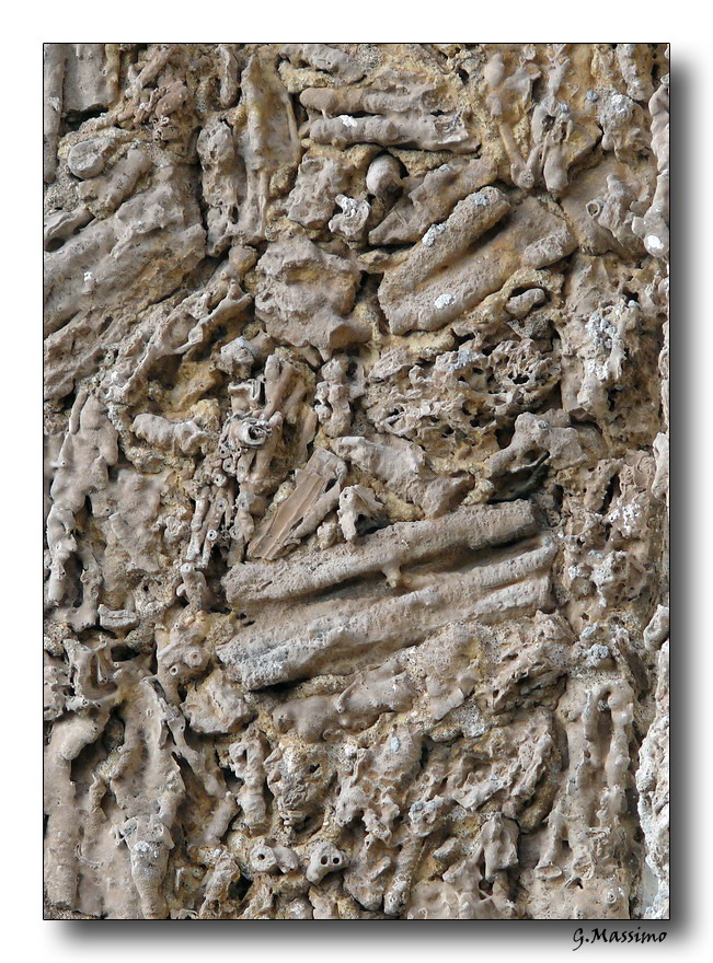 Particolare - Giardini Minerva - SA -