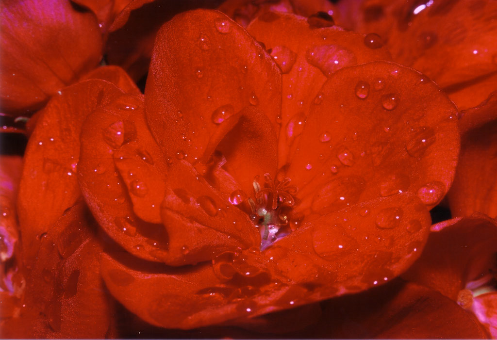 Sotto la pioggia di Padova...