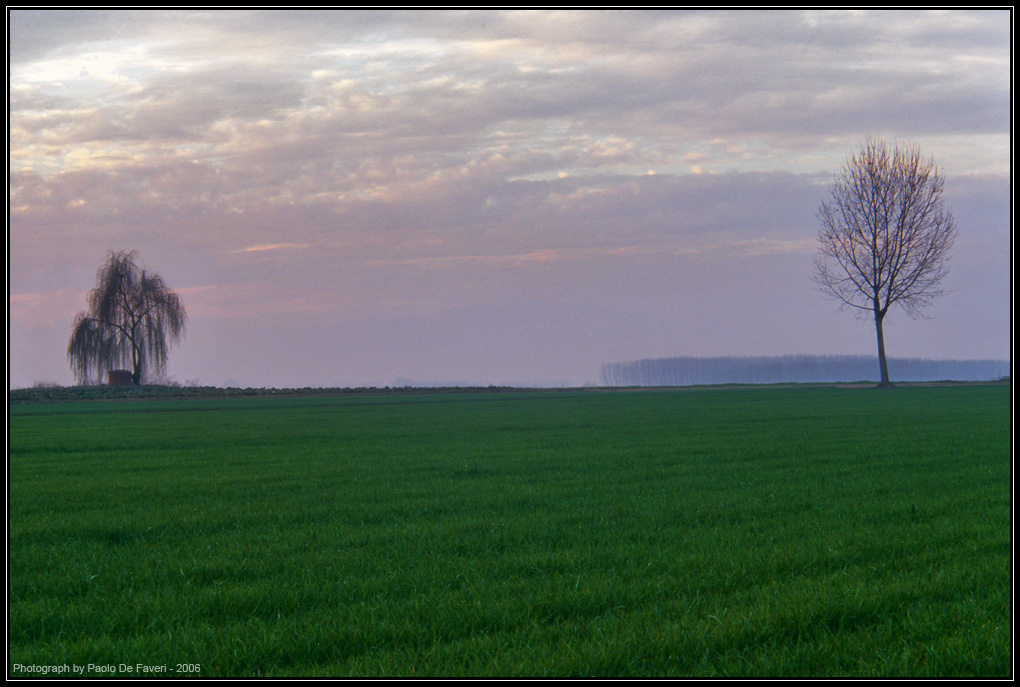 La campagna di Carmagnola #2.