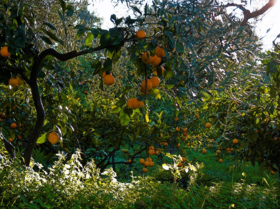 .: punteggiatura rossa :.