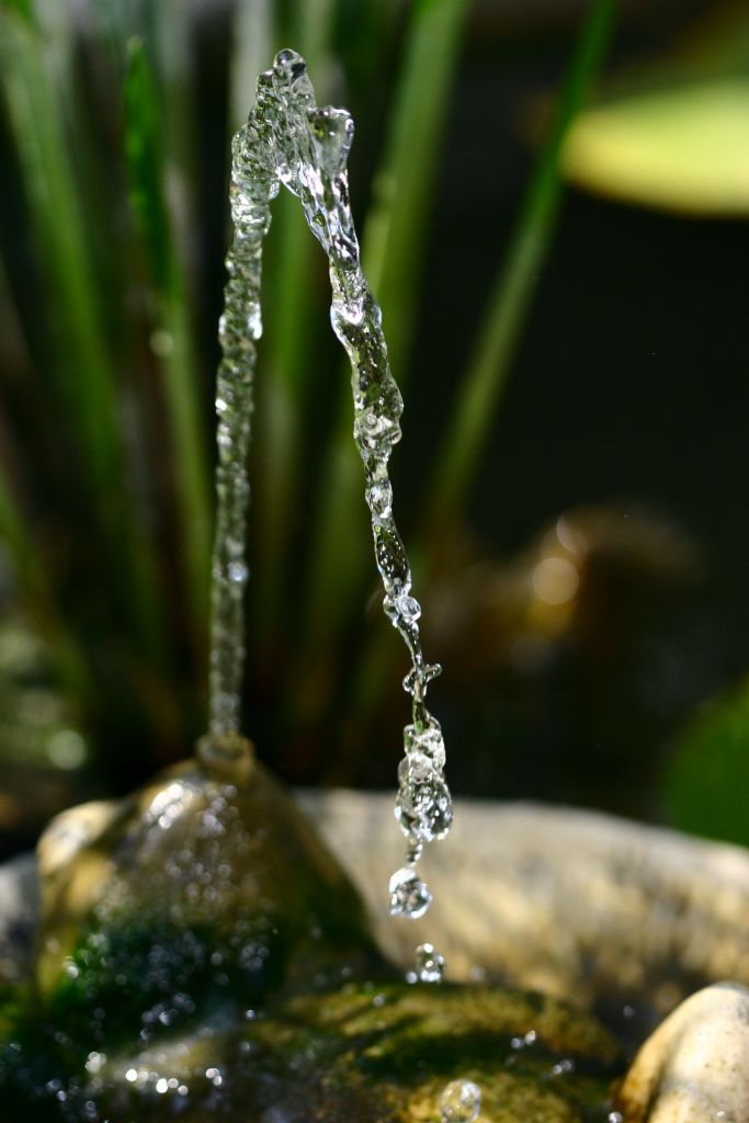 Statica volgarit�...