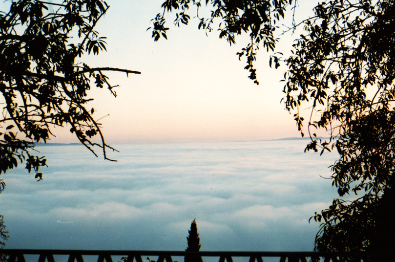 forse un sogno forse il paradiso ?