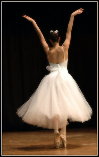 il rovescio dell' eleganza