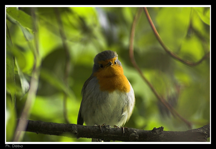 ma chette guardi..?!?!?!?!?!