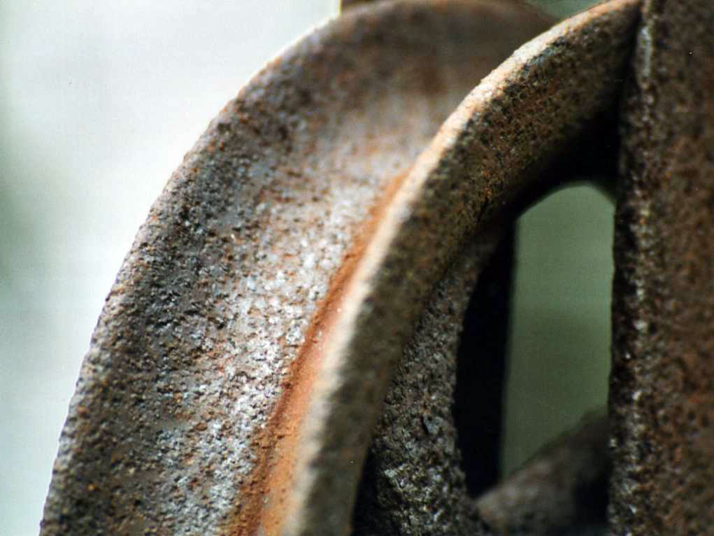 I SEGNI DEL TEMPO...