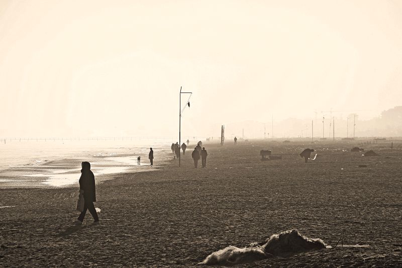 La pace secondo CiiiP...