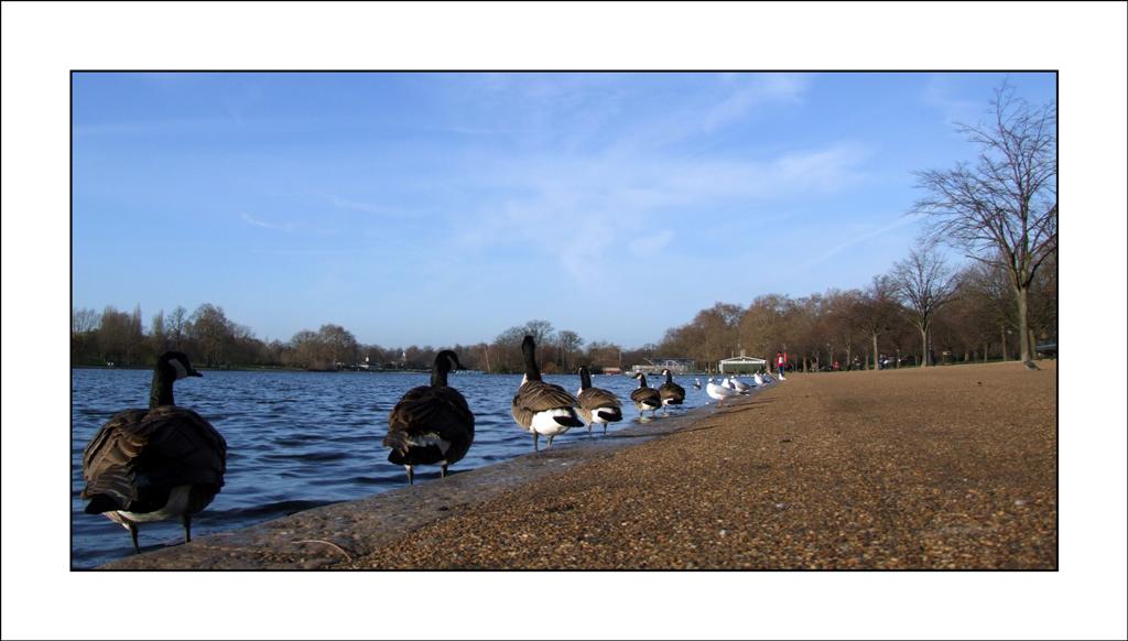 Hyde Park - London