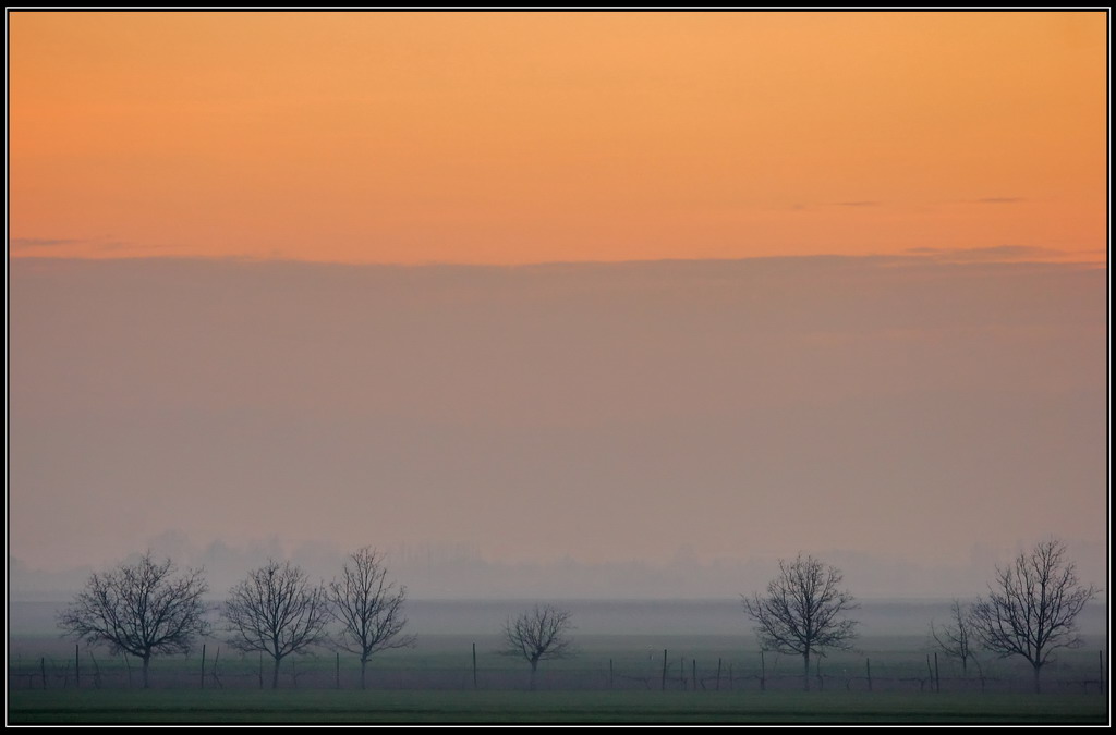 Nebbia di sera...