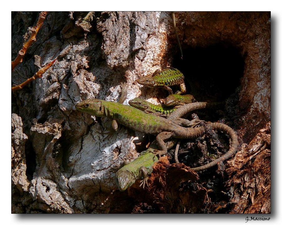 Andiamo a vedere cosa � successo..