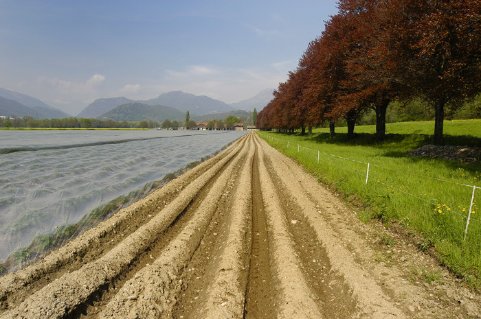 profondit� di campo