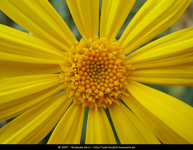 Viaggio al centro della terra