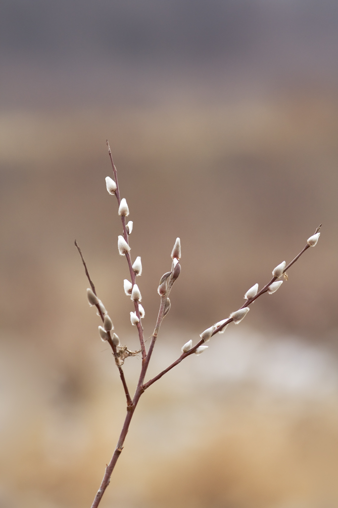 oggi,21 gennaio 2007.