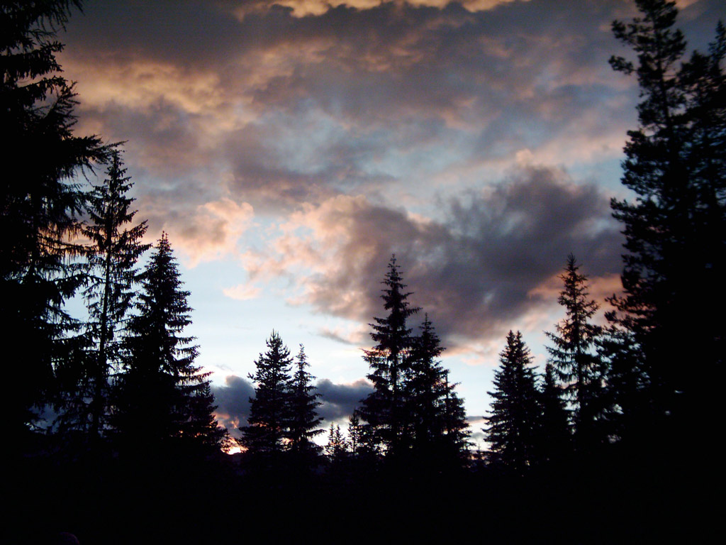 Tutti a guardare verso l'alto