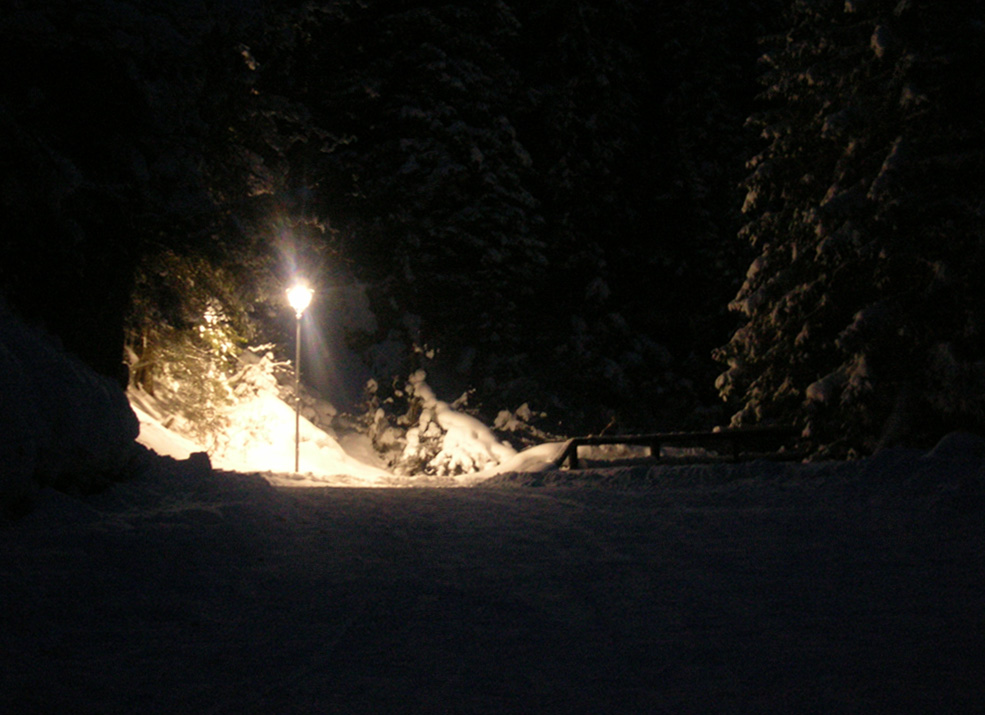 Passeggiata notturna