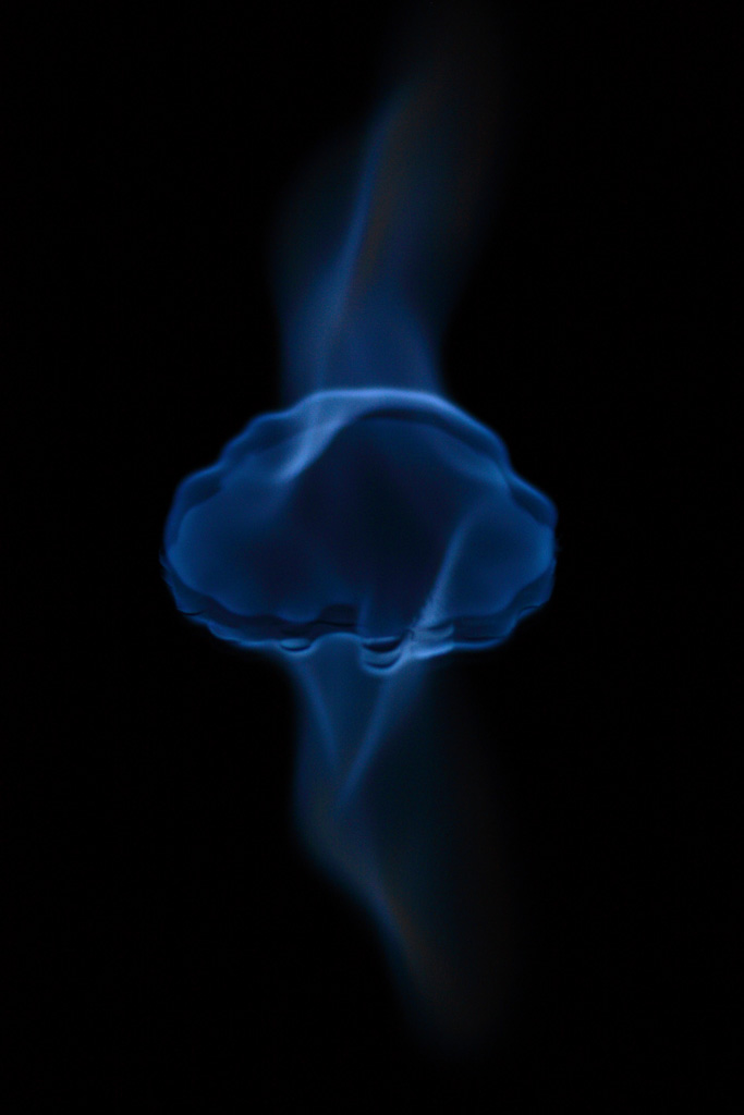 Progetto flame - Medusa