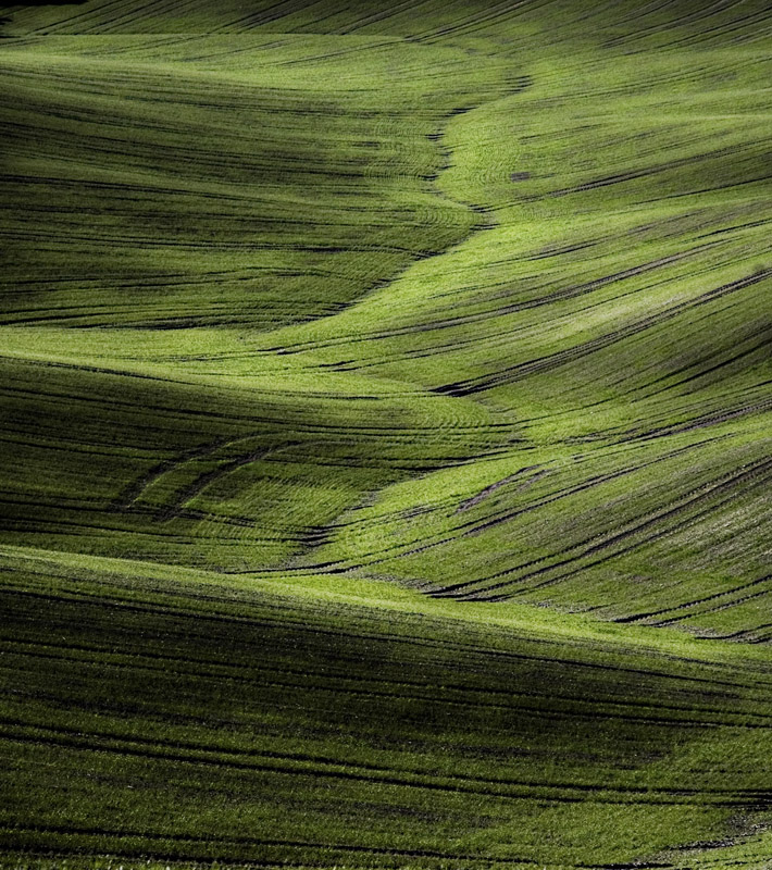 ...la linea della vita....