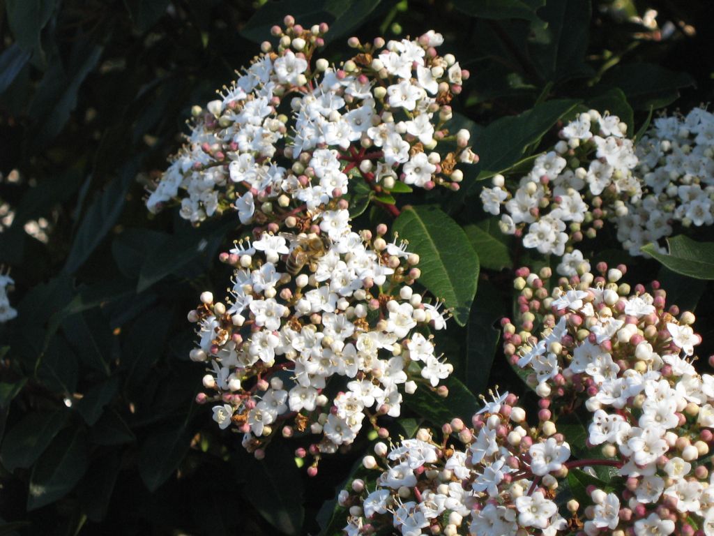 Ma l'inverno � gi� finito?