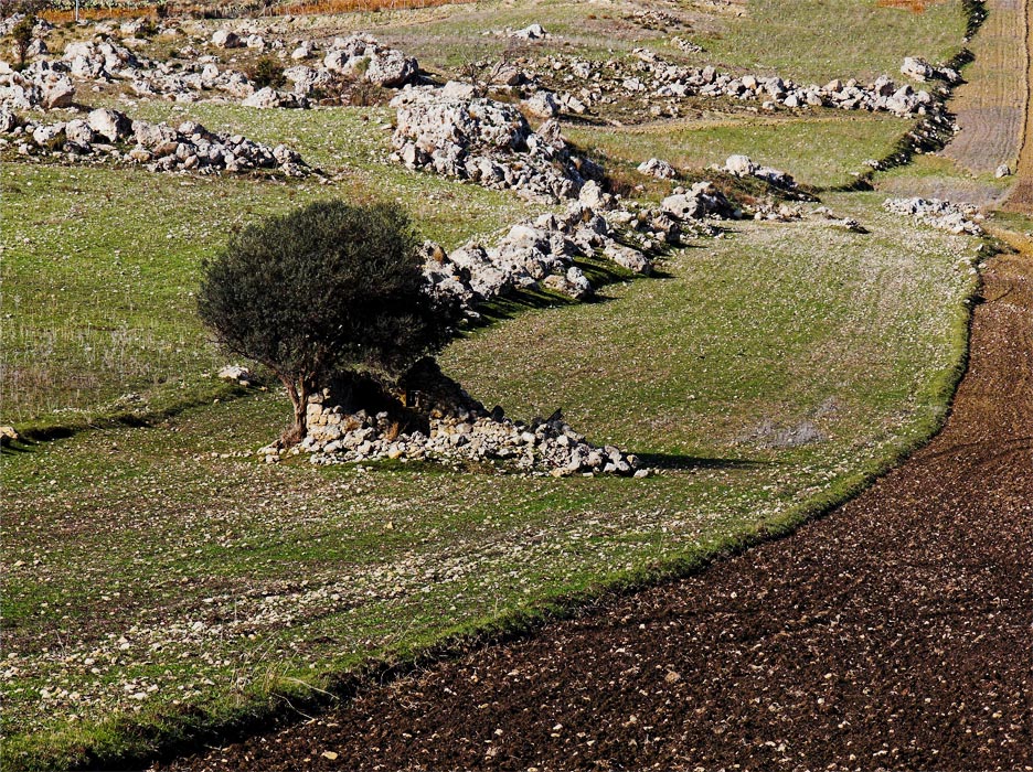 .: 10:12:2006 14:34 :.