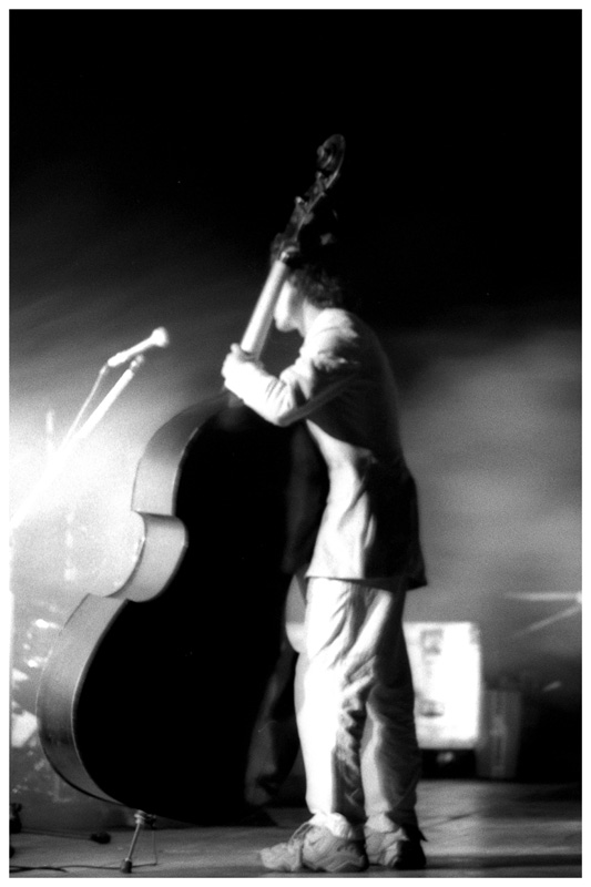 Bass Player