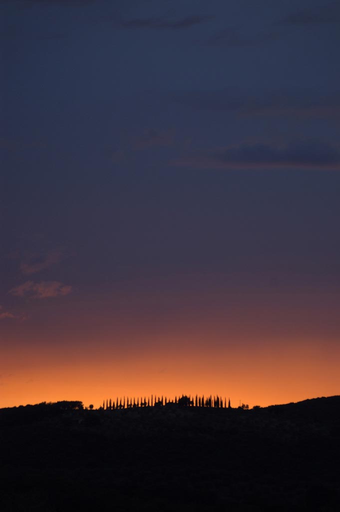 tramonto cipressi
