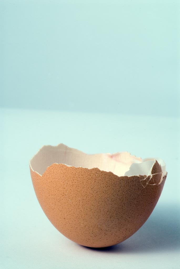 mezzo guscio di uovo