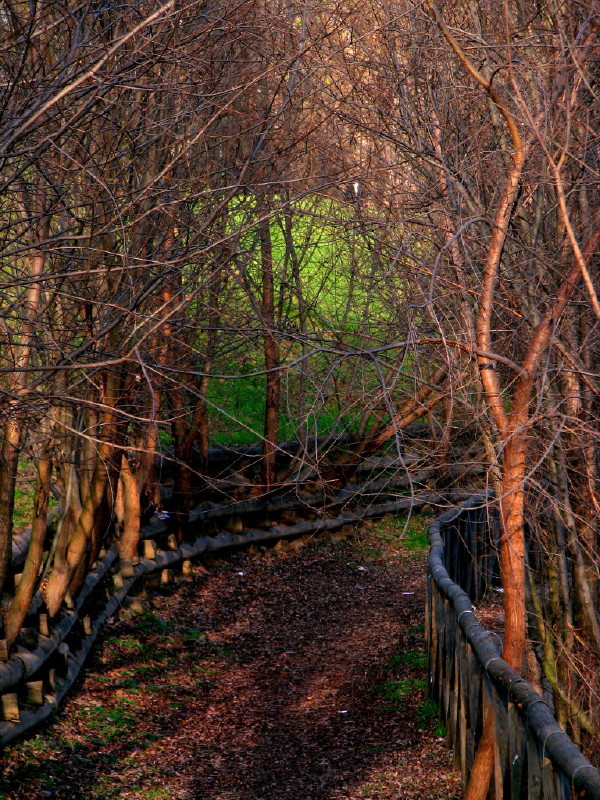 sentiero stupendo...