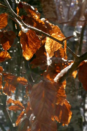 Pret a porter autunno/inverno