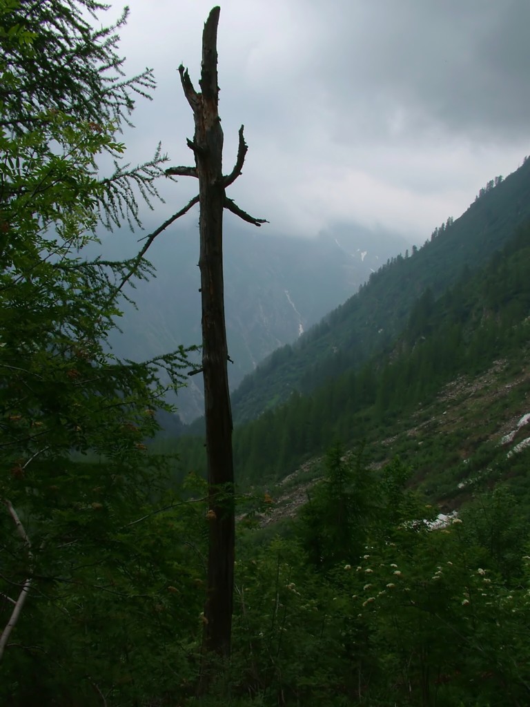 il guardiano di otro