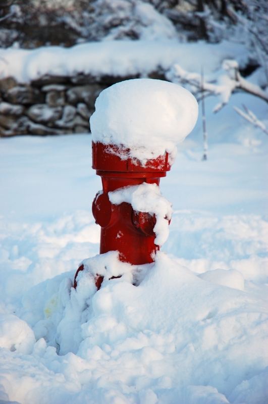 Prima neve a Trieste