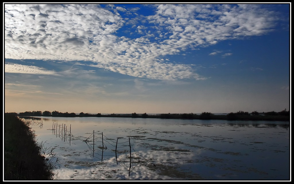 Pecorelle..nello specchio