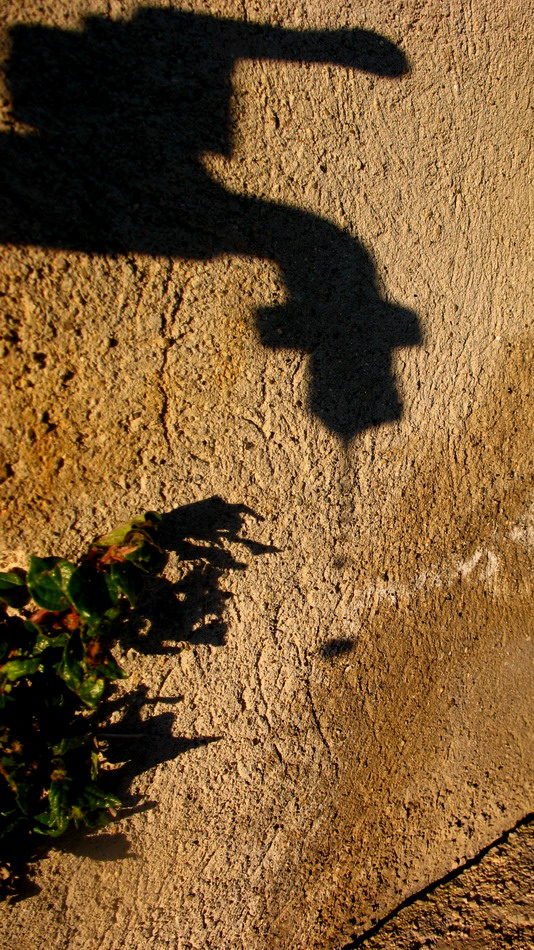 Mentre cade la goccia