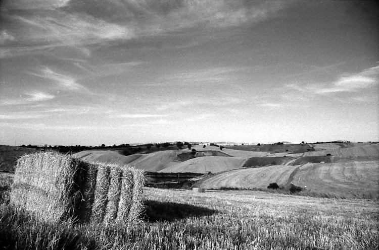 paesaggio molisano 1