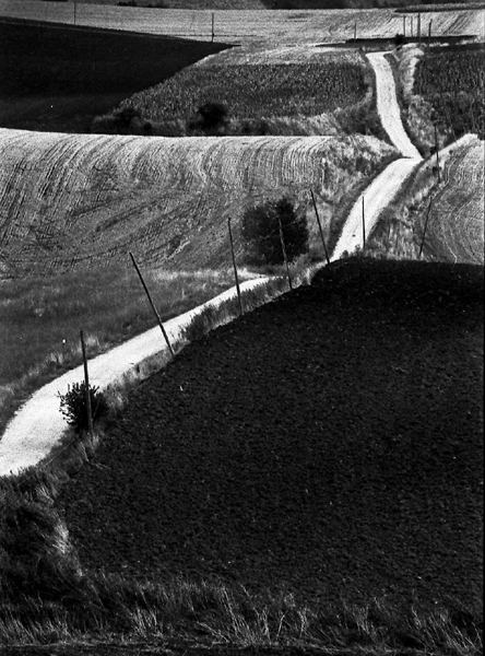 paesaggio molisano 3