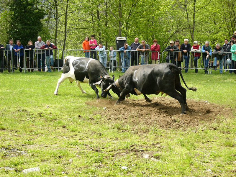 divergenze in famiglia