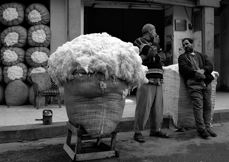 Cotone (Cairo, 2007)