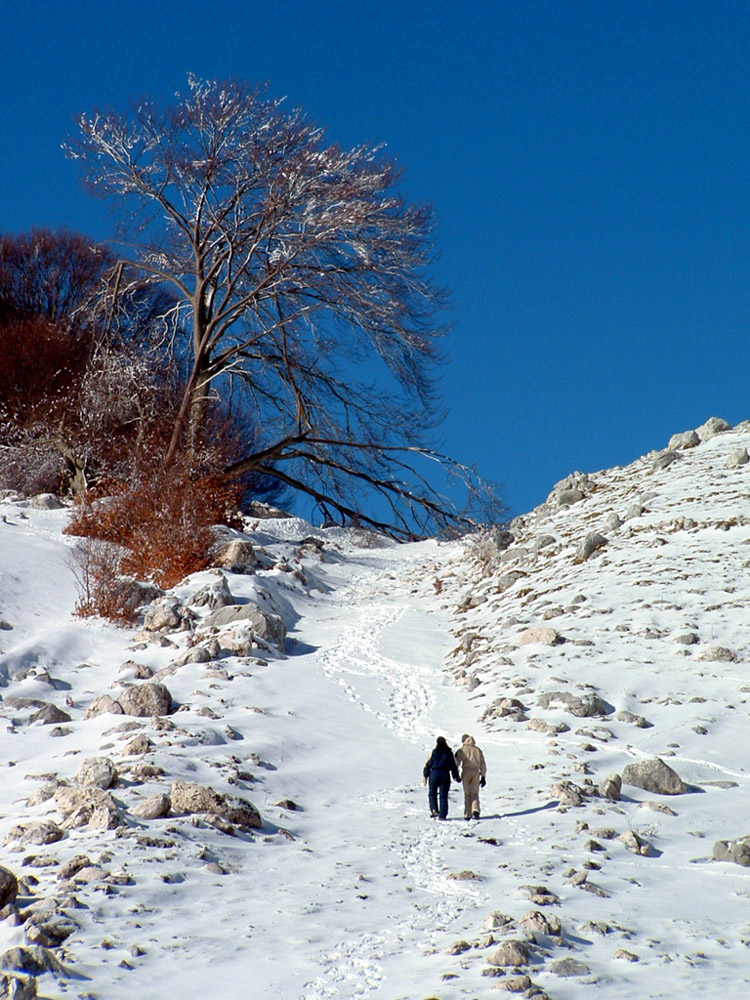 percorsi invernali d'amore