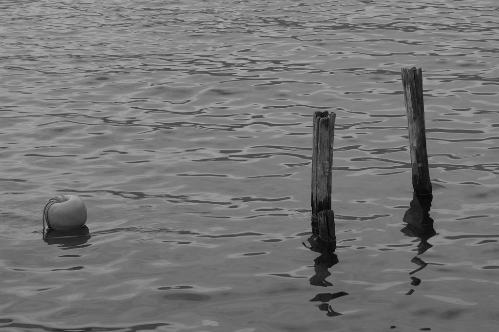 Solitudine della diversit�