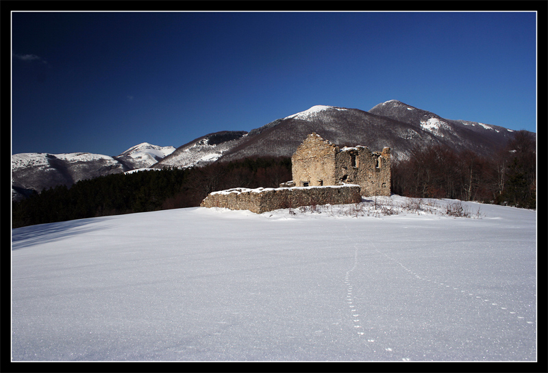 Seguendo il Coniglio...