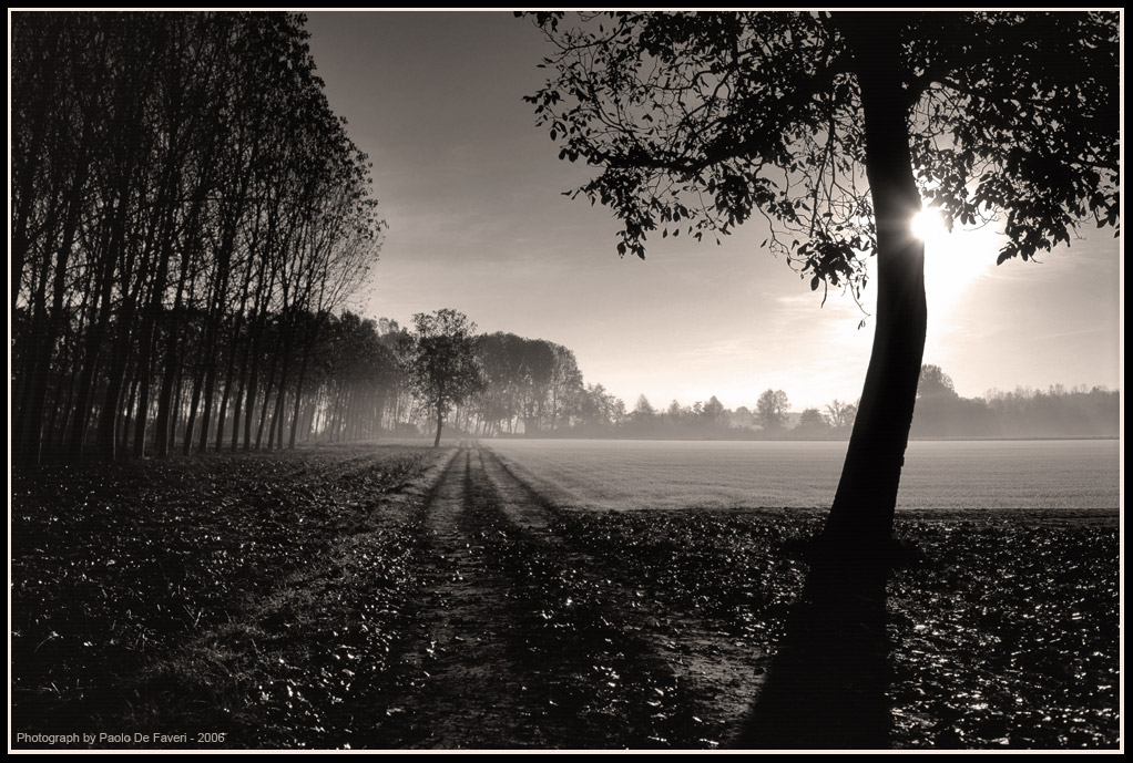 La campagna di Carignano, Torino. #9. Versione seppia