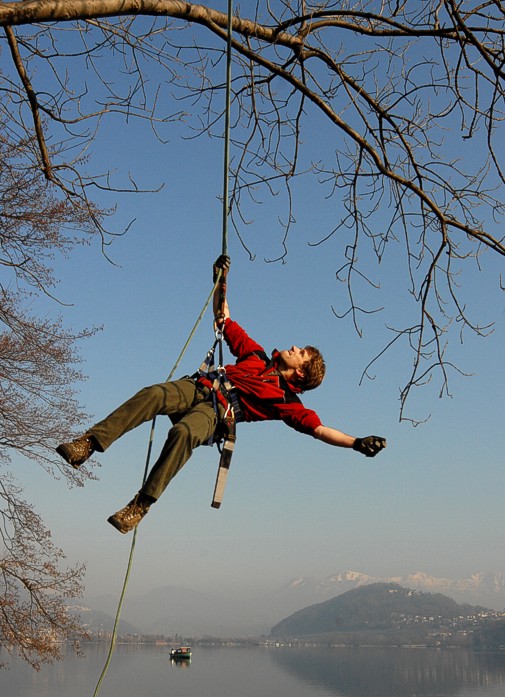 Vita da boscaioli...