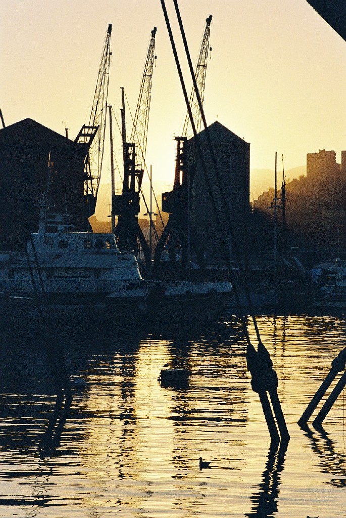 Expo-tramonto dic06 GENOVA