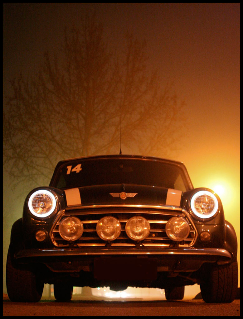 Mini in the Fog