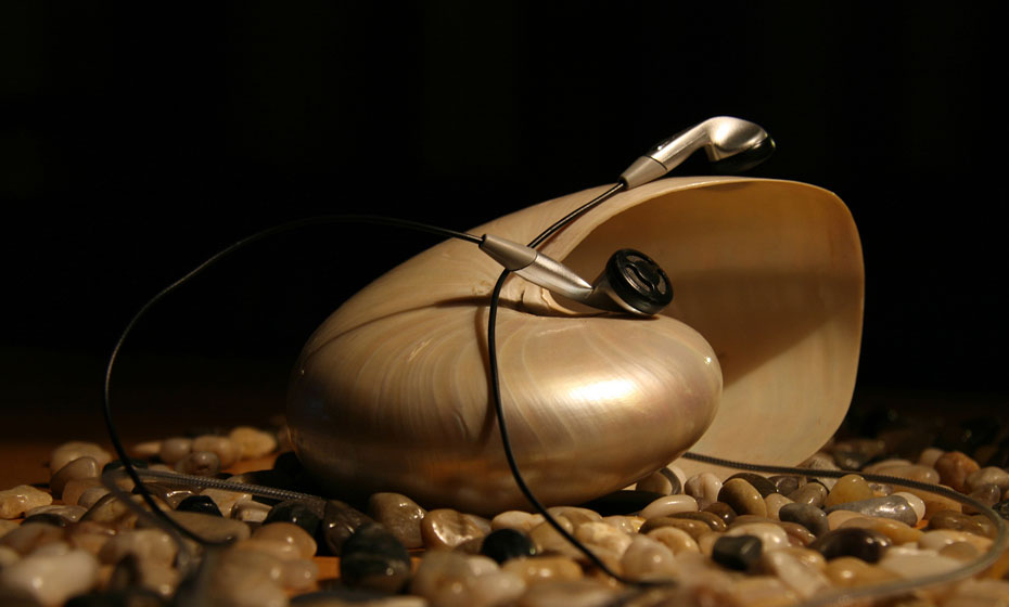 Contest musica...conchiglia mp3